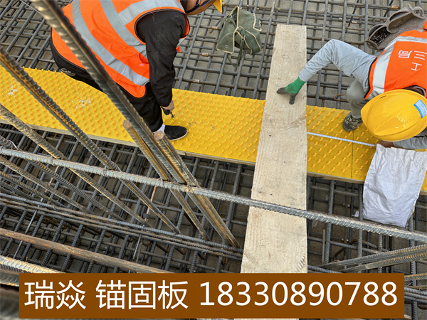 錨固板案例